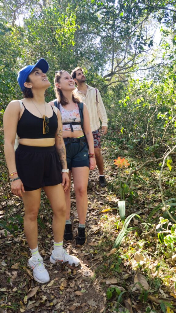 Foto do tour