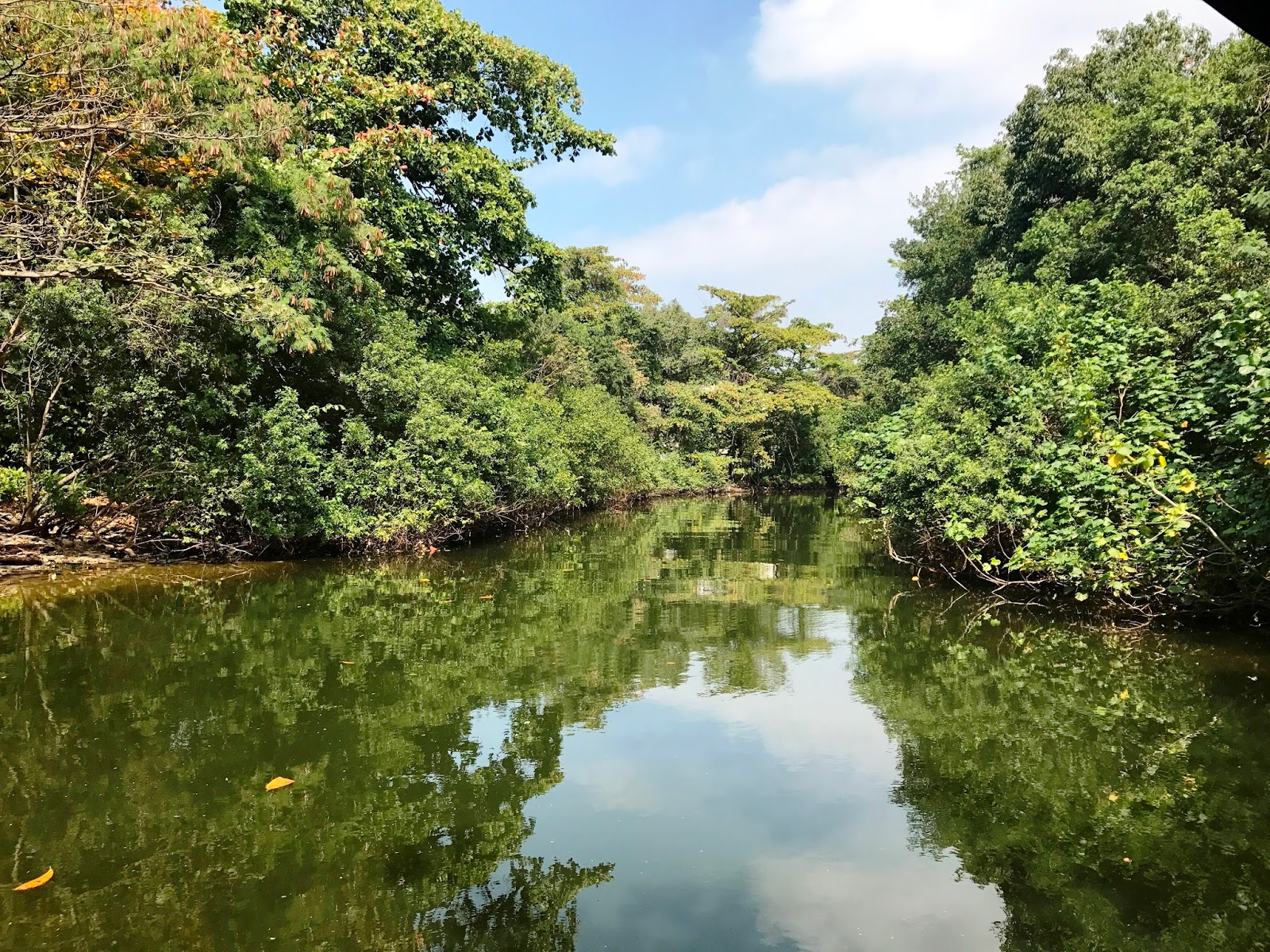Pantanal Carioca